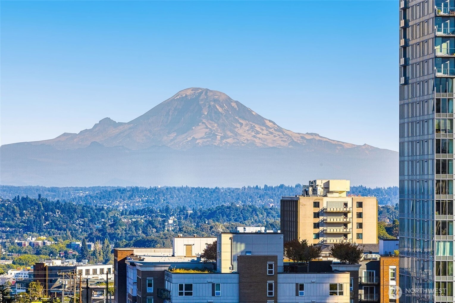 1105 Spring Street #1309, Seattle, WA 98104
