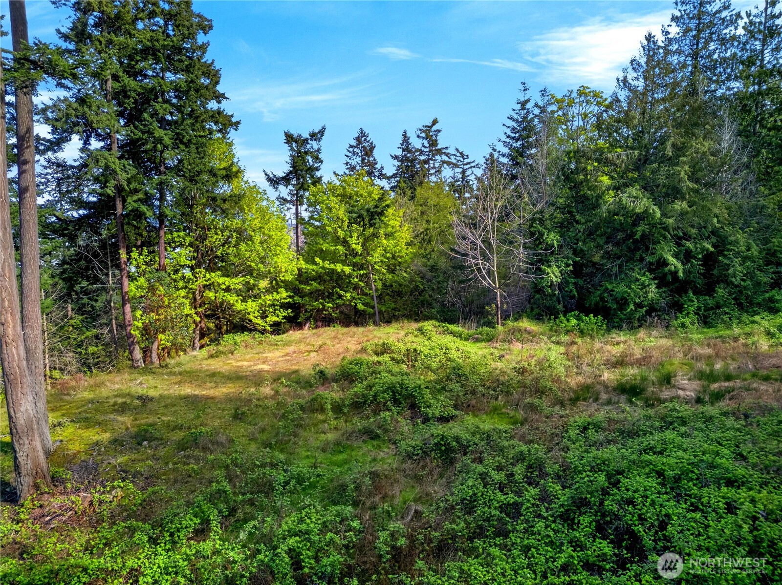 11927 Madrona Ridge Place , Anacortes, WA 98221