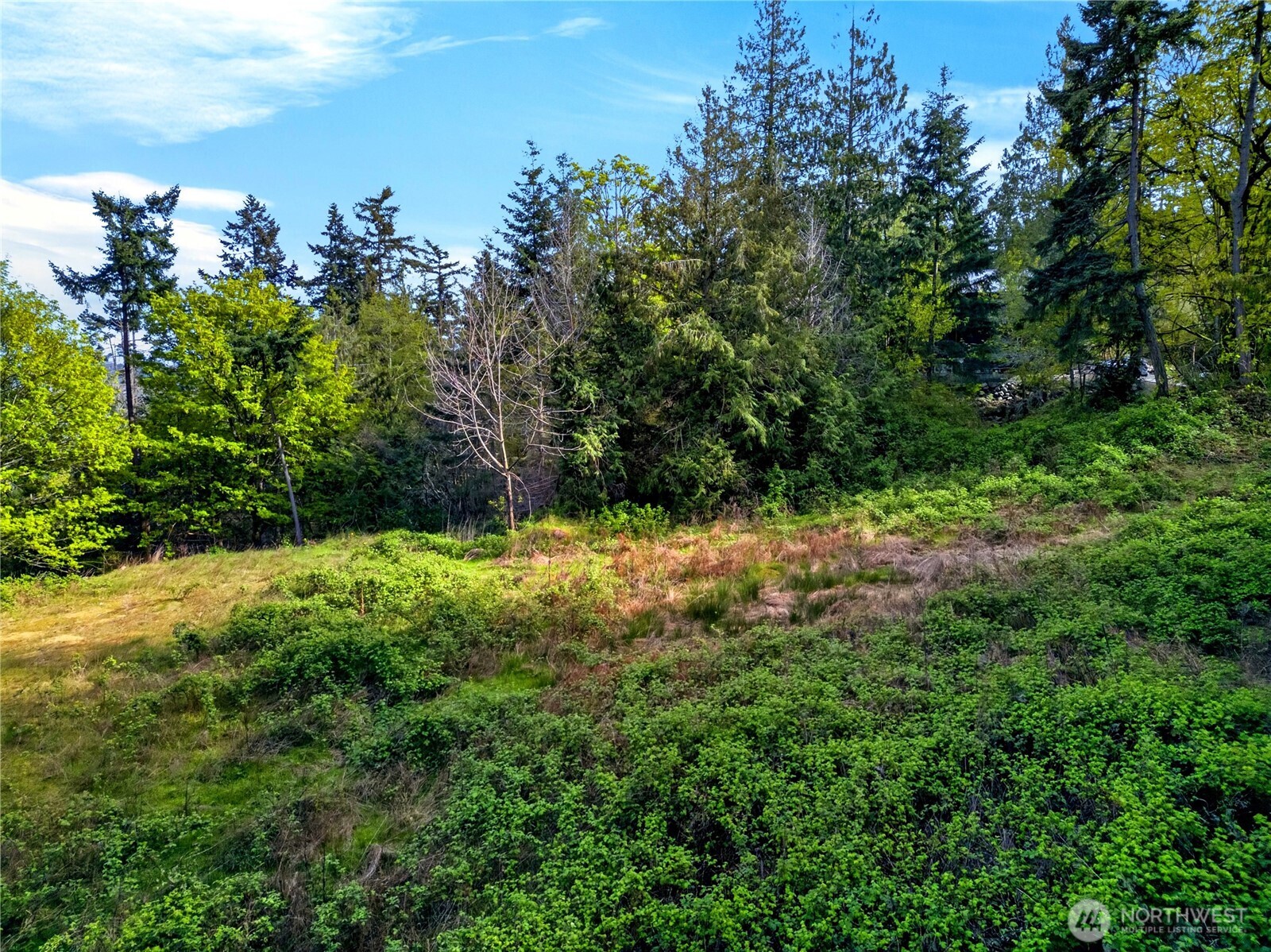 11927 Madrona Ridge Place , Anacortes, WA 98221
