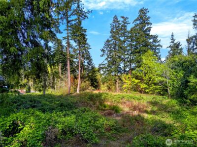 11927 Madrona Ridge Place , Anacortes, WA 98221 - Photo 2
