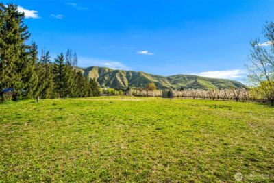 0 Bridge Street , Monitor, WA 98836 - Photo 11