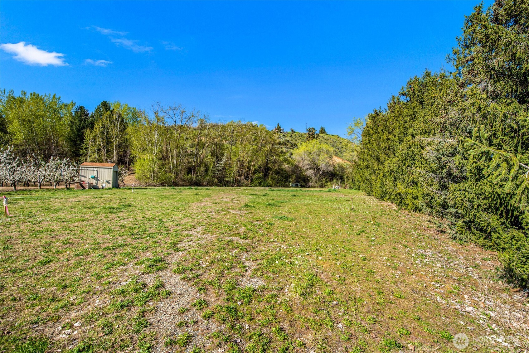 0 Bridge Street , Monitor, WA 98836