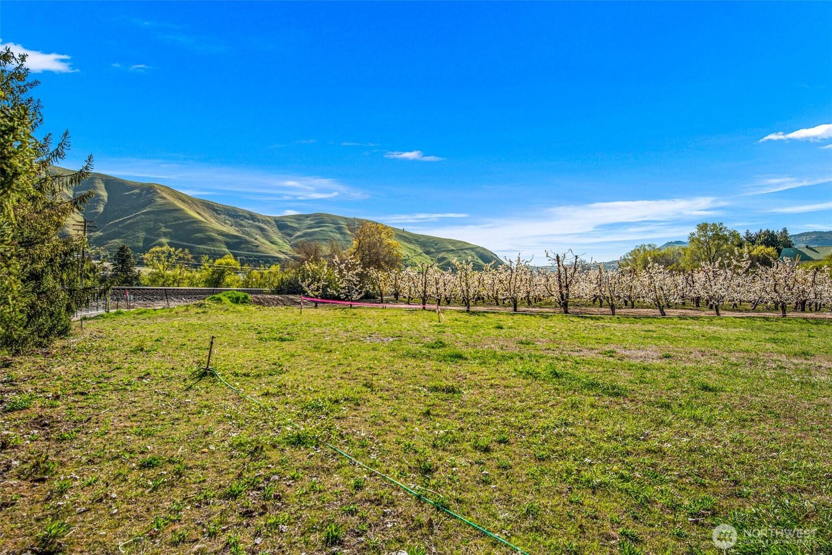 0 Bridge Street , Monitor, WA 98836