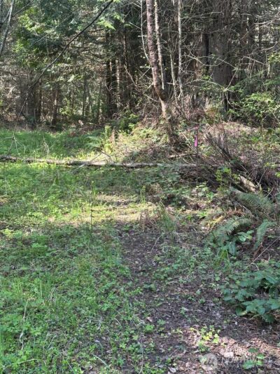 9999 Pristine Lane, Lot 3 , Port Angeles, WA 98362 - Photo 3