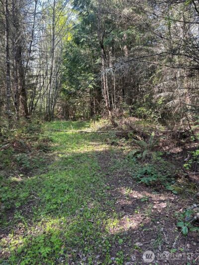 9999 Pristine Lane, Lot 3 , Port Angeles, WA 98362 - Photo 5
