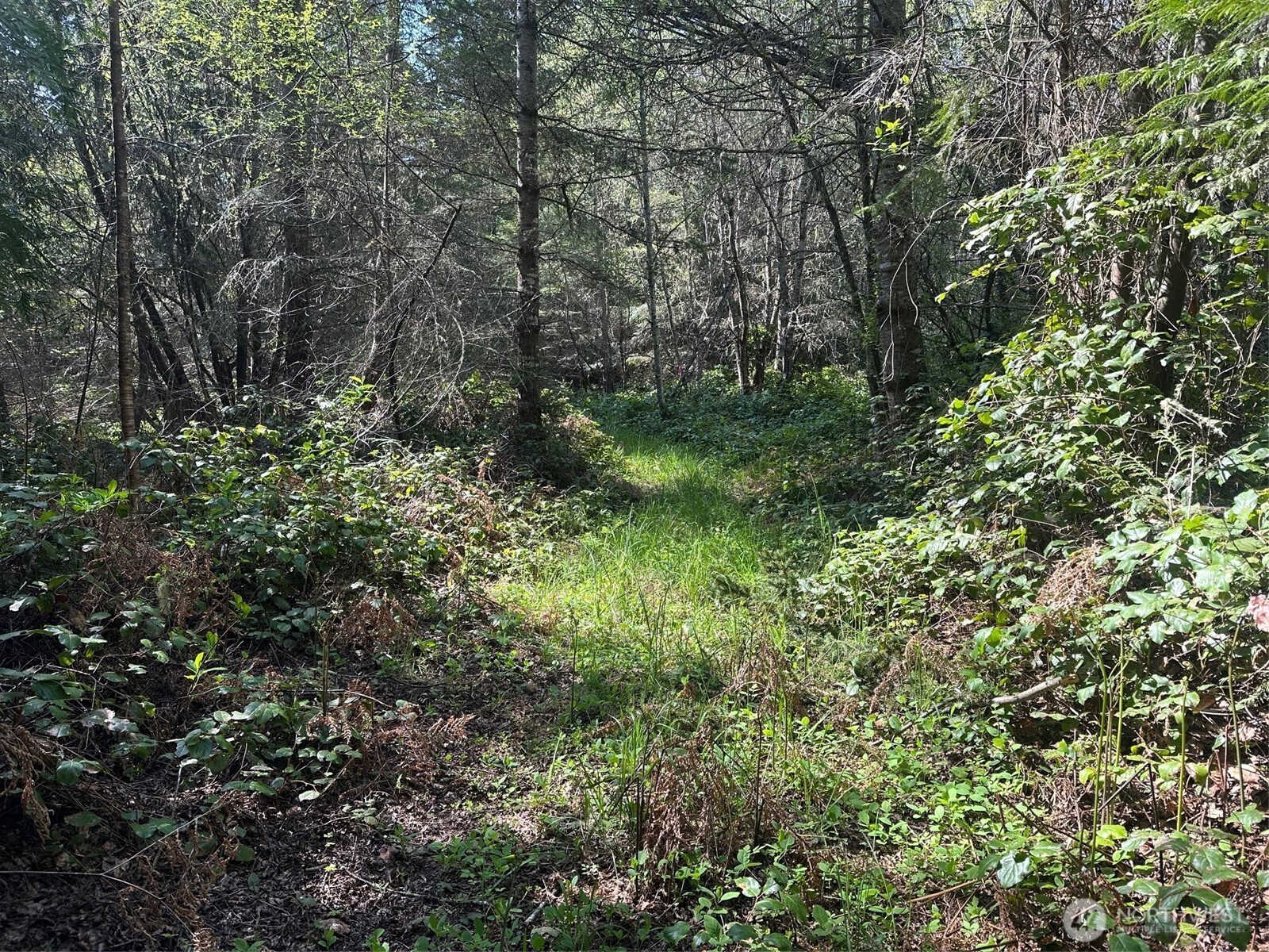 9999 Pristine Lane, Lot 3 , Port Angeles, WA 98362