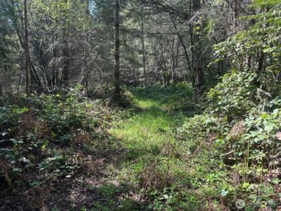 9999 Pristine Lane, Lot 3 , Port Angeles, WA 98362 - Photo 7