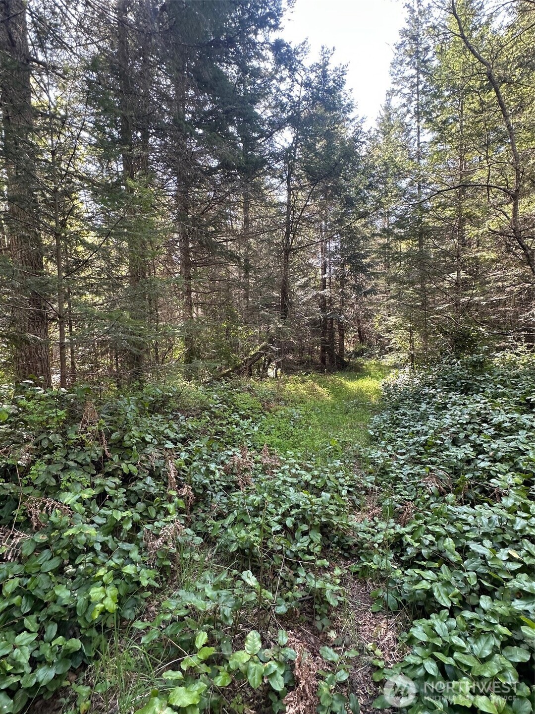 9999 Pristine Lane, Lot 3 , Port Angeles, WA 98362