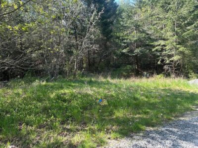9999 Pristine Lane, Lot 3 , Port Angeles, WA 98362 - Photo 10
