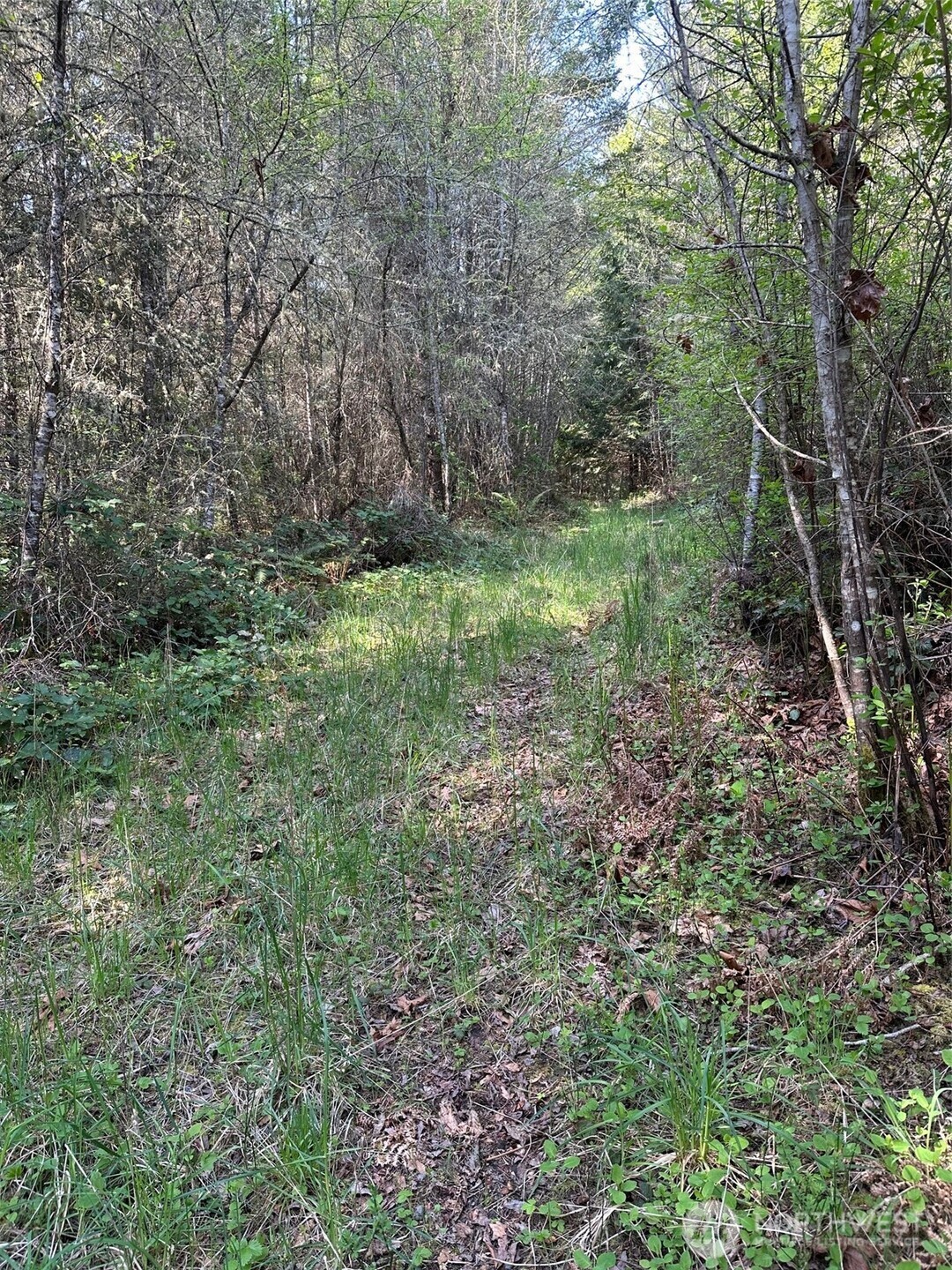 9999 Pristine Lane, Lot 1 , Port Angeles, WA 98362