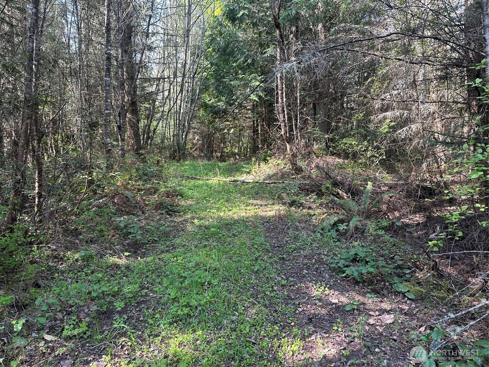 9999 Pristine Lane, Lot 1 , Port Angeles, WA 98362