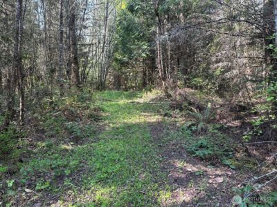 9999 Pristine Lane, Lot 1 , Port Angeles, WA 98362 - Photo 4