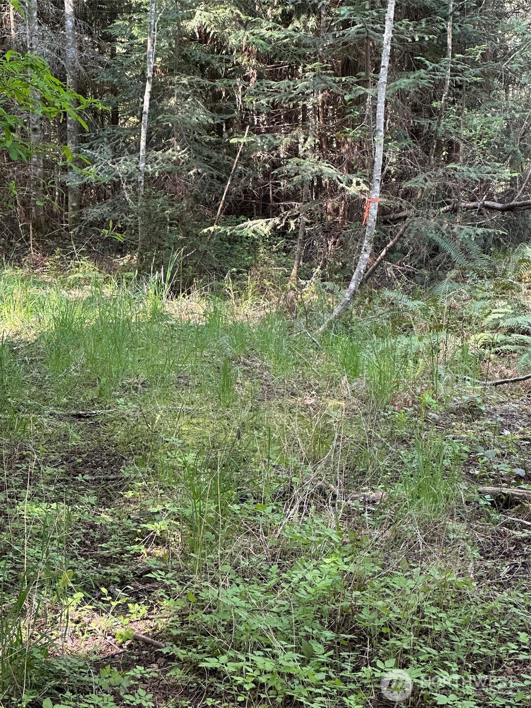 9999 Pristine Lane, Lot 1 , Port Angeles, WA 98362