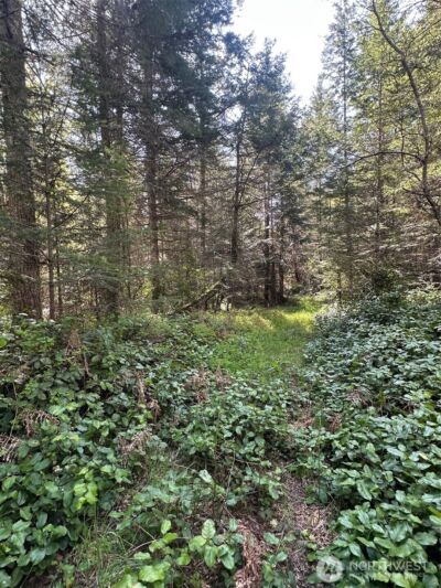 9999 Pristine Lane, Lot 1 , Port Angeles, WA 98362 - Photo 8