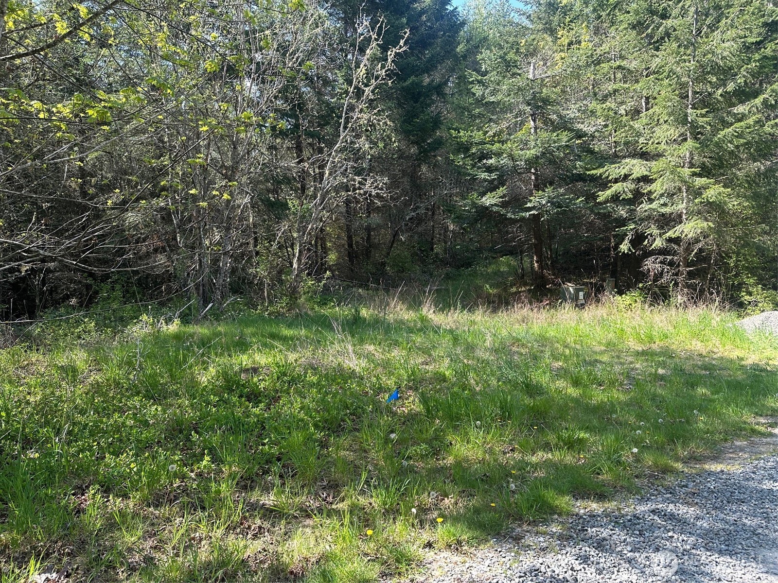 9999 Pristine Lane, Lot 1 , Port Angeles, WA 98362