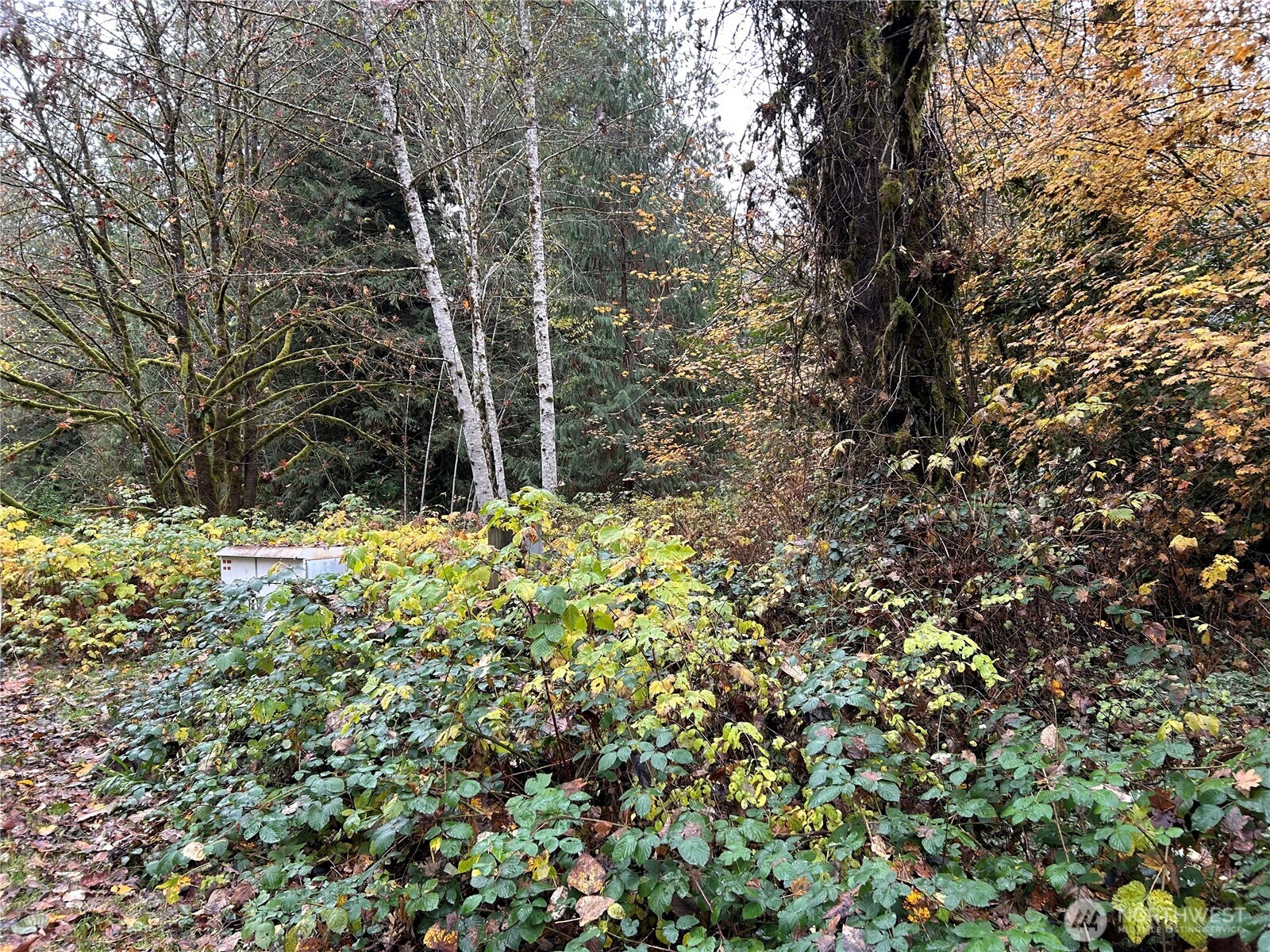 54165 Steelhead Landing Road , Concrete, WA 98237
