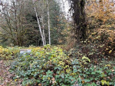 54165 Steelhead Landing Road , Concrete, WA 98237