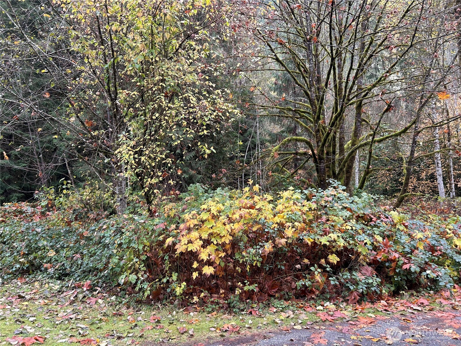 54165 Steelhead Landing Road , Concrete, WA 98237