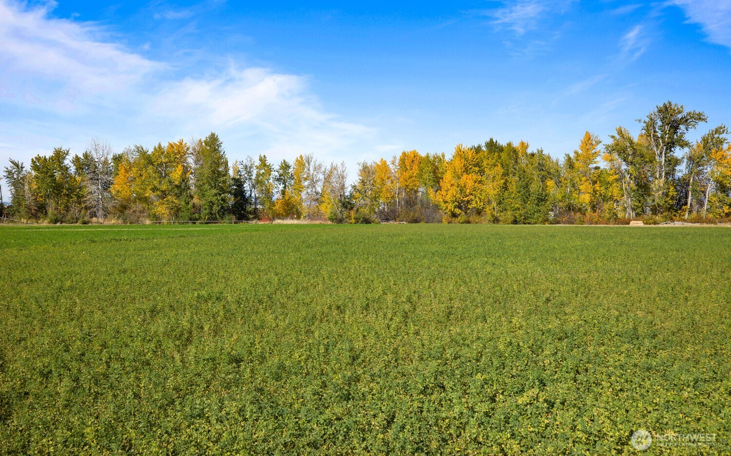 0 Lot 3 Waterbrook Lane , Ellensburg, WA 98926