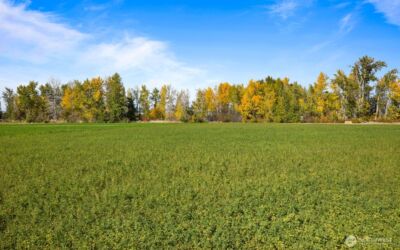 0 Lot 3 Waterbrook Lane , Ellensburg, WA 98926 - Photo 4