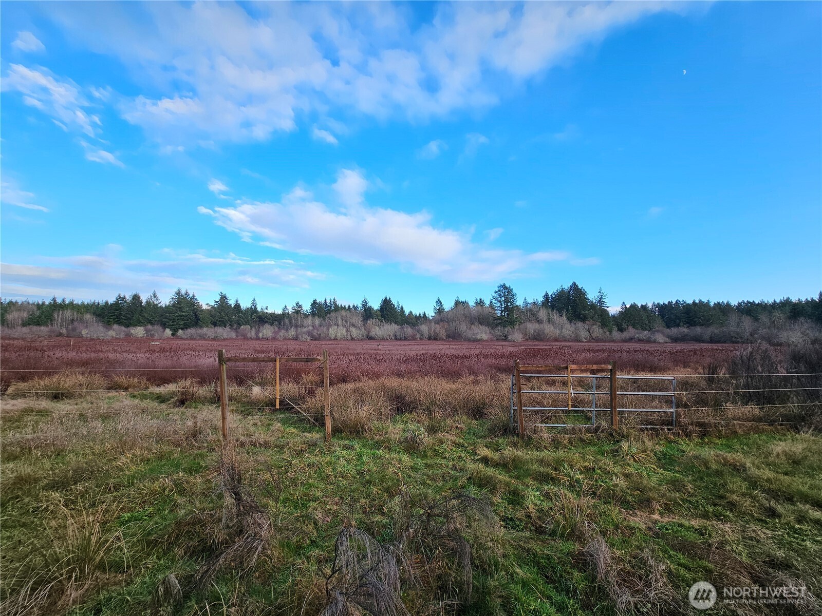 206 184th Avenue Ct NW, Lakebay, WA 98349