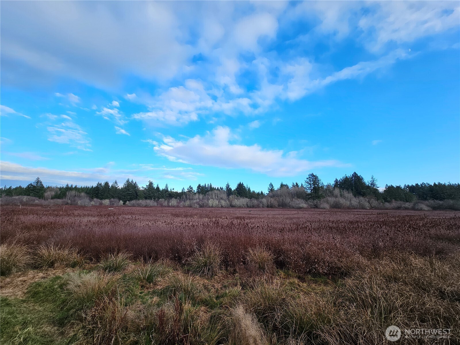 206 184th Avenue Ct NW, Lakebay, WA 98349