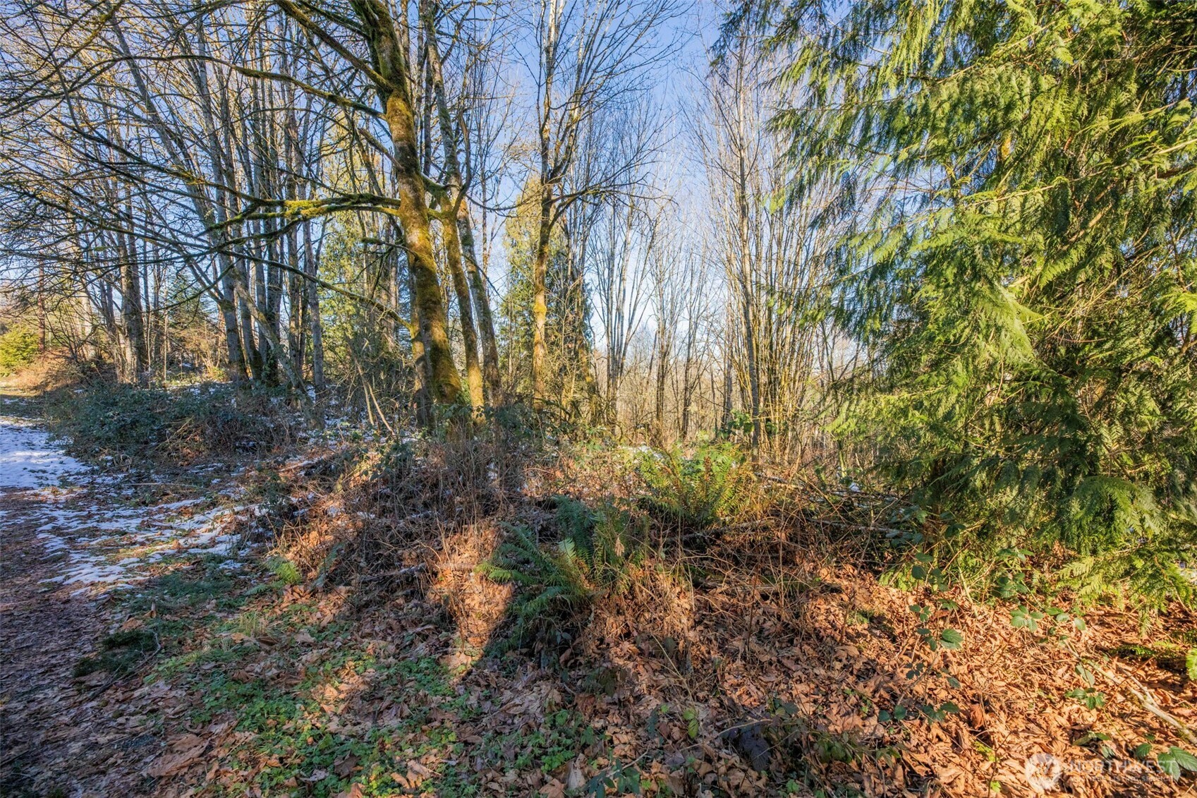 218 XX E Lost Lake Road , Snohomish, WA 98296