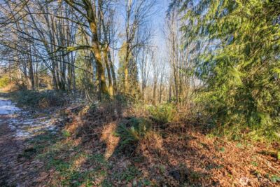 218 XX E Lost Lake Road , Snohomish, WA 98296 - Photo 6