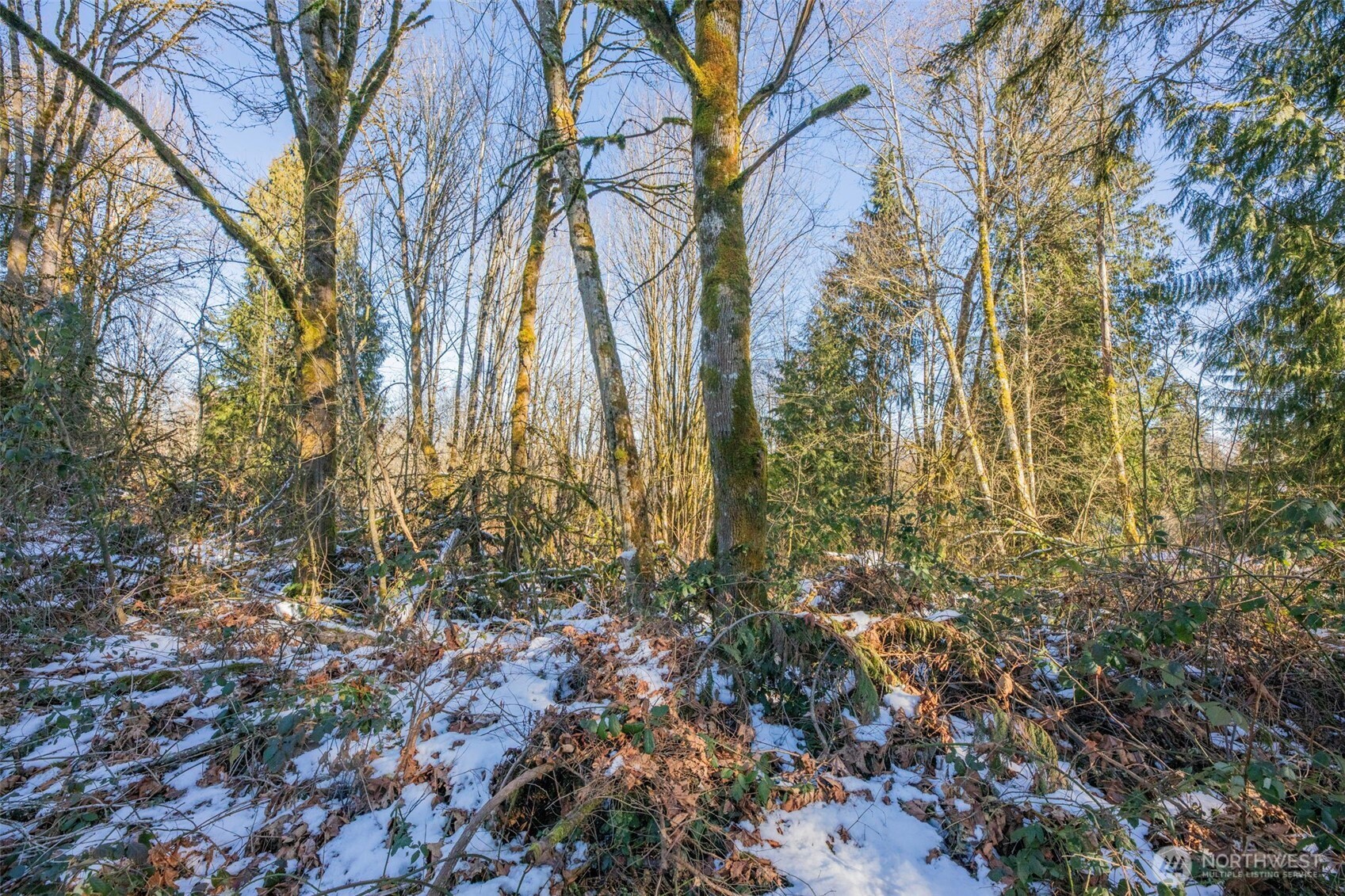 218 XX E Lost Lake Road , Snohomish, WA 98296