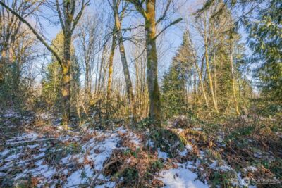 218 XX E Lost Lake Road , Snohomish, WA 98296 - Photo 7