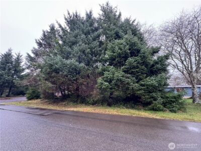 682 Copalis Avenue NE, Ocean Shores, WA 98569