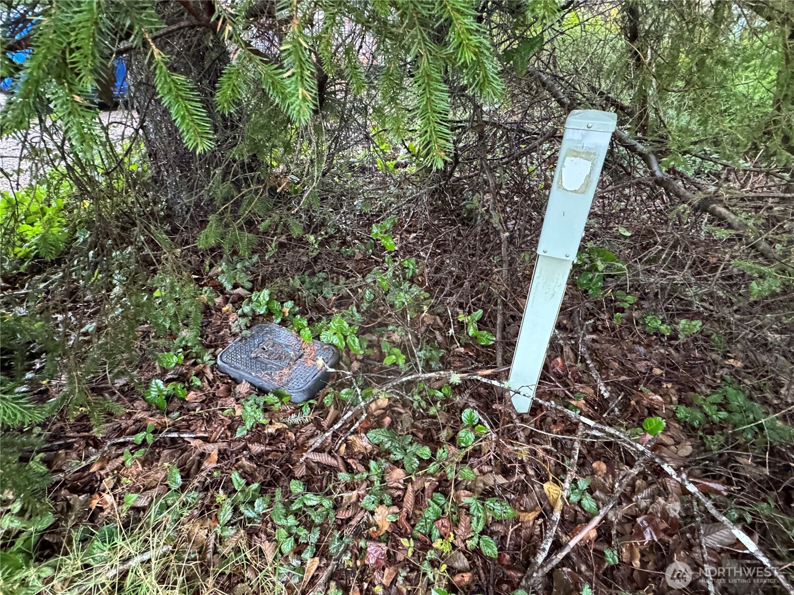 682 Copalis Avenue NE, Ocean Shores, WA 98569