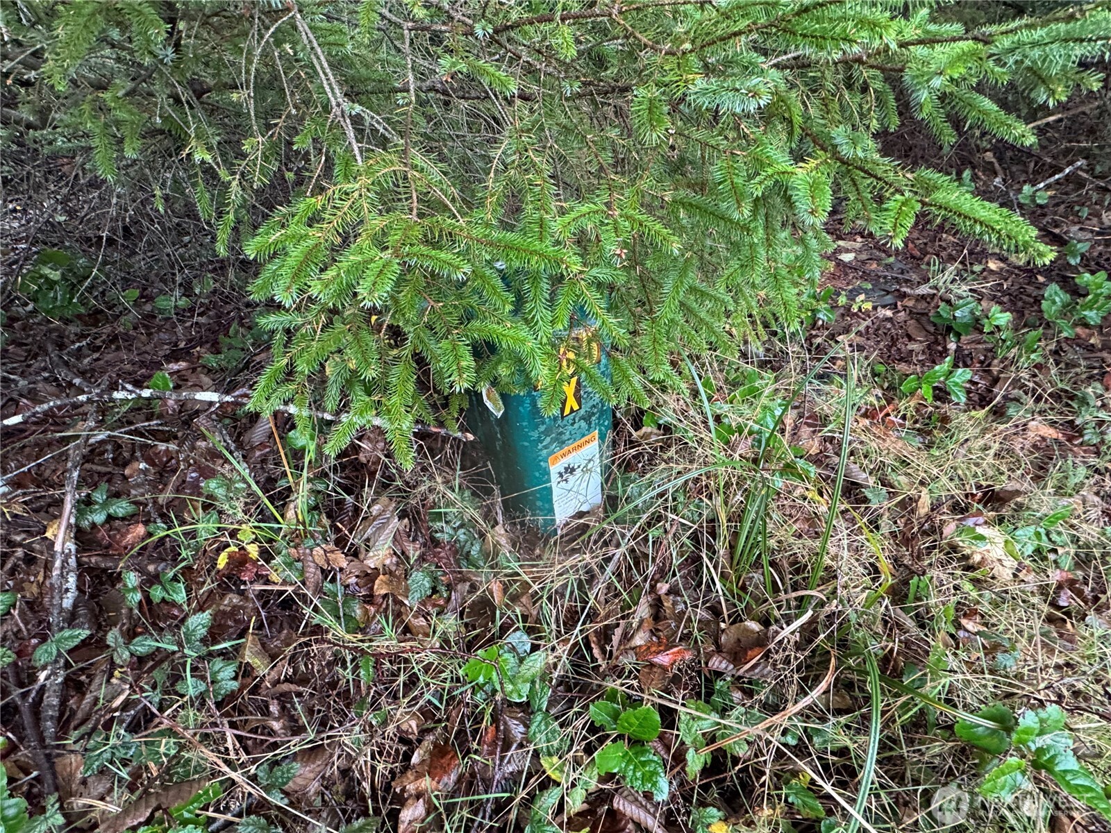 682 Copalis Avenue NE, Ocean Shores, WA 98569