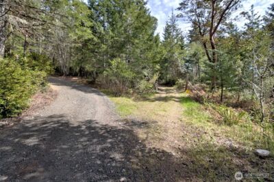 100 E Skyview Drive , Union, WA 98592 - Photo 11