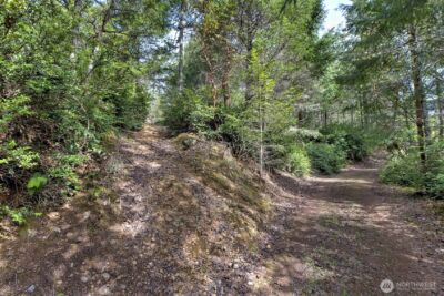100 E Skyview Drive , Union, WA 98592 - Photo 12