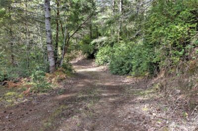 100 E Skyview Drive , Union, WA 98592 - Photo 17