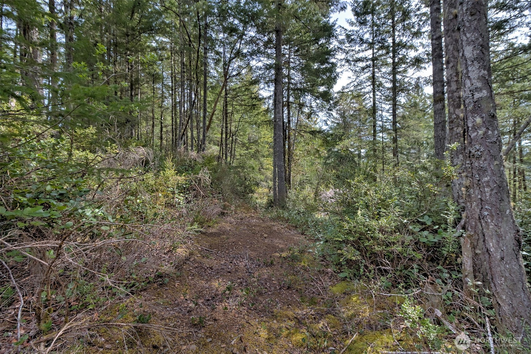 100 E Skyview Drive , Union, WA 98592