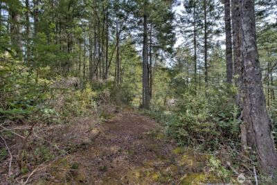 100 E Skyview Drive , Union, WA 98592 - Photo 18