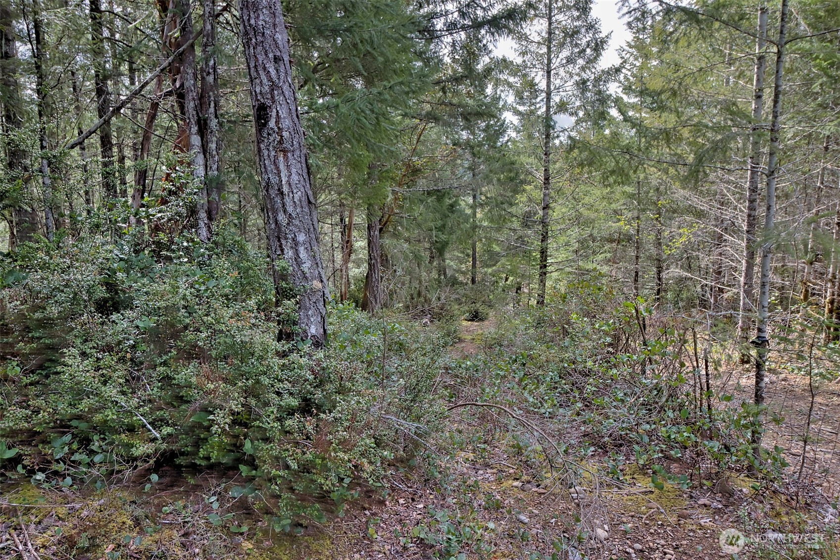 100 E Skyview Drive , Union, WA 98592
