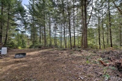 100 E Skyview Drive , Union, WA 98592 - Photo 20