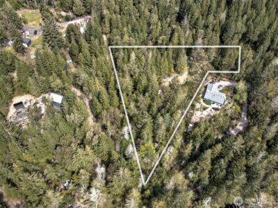 100 E Skyview Drive , Union, WA 98592 - Photo 23
