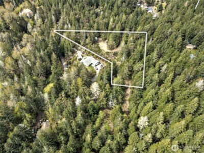 100 E Skyview Drive , Union, WA 98592 - Photo 24