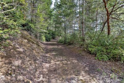 100 E Skyview Drive , Union, WA 98592 - Photo 5