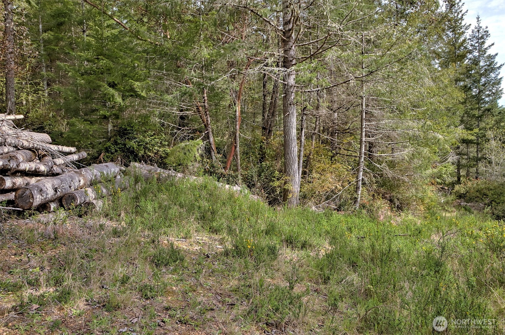 100 E Skyview Drive , Union, WA 98592