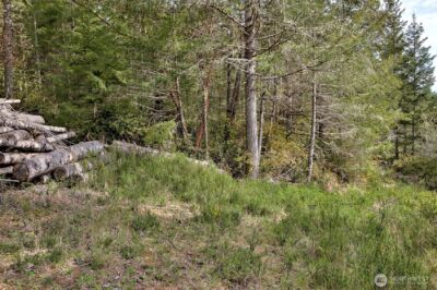 100 E Skyview Drive , Union, WA 98592 - Photo 9