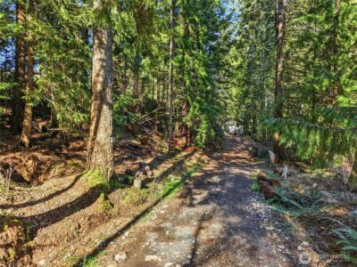101 E Errigal Place , Shelton, WA 98584 - Photo 23