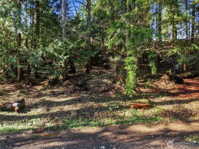 101 E Errigal Place , Shelton, WA 98584 - Photo 24