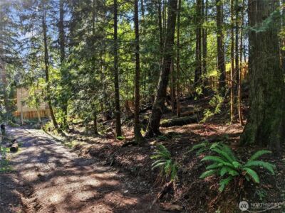 101 E Errigal Place , Shelton, WA 98584 - Photo 25