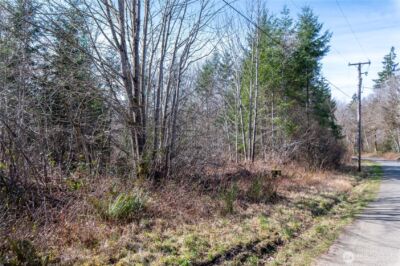 0 NE North Shore Road , Belfair, WA 98528 - Photo 11