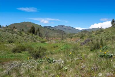 16 Dancing Bear Road , Carlton, WA 98814 - Photo 4